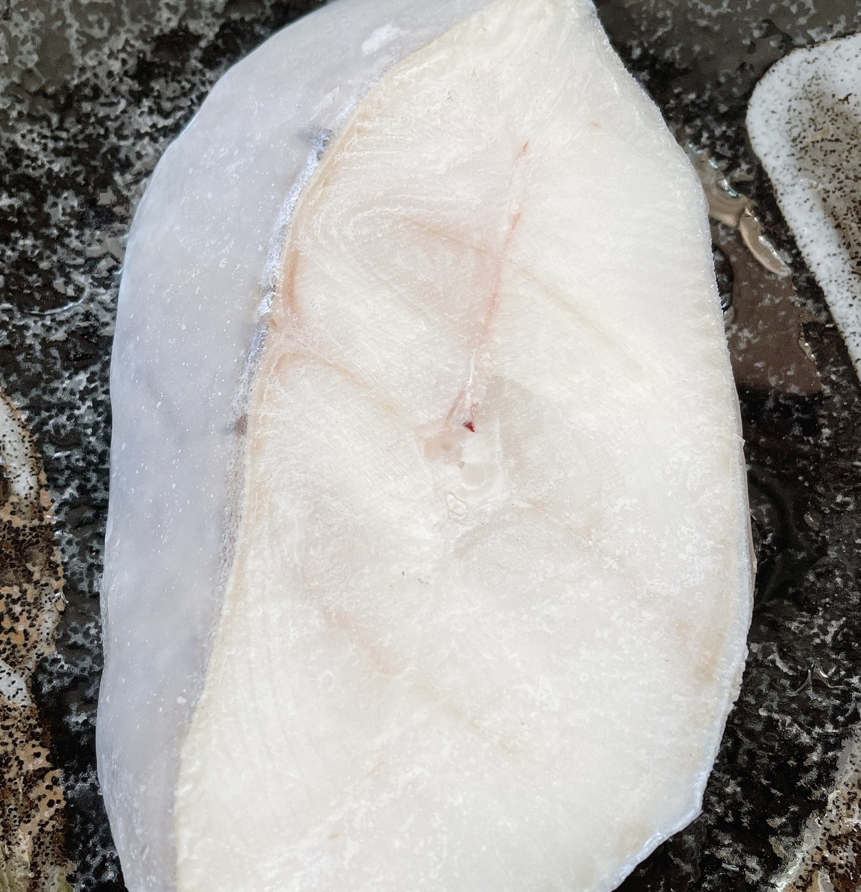 大比目魚
