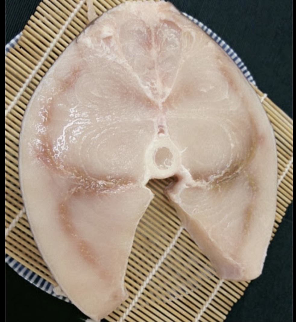 超低溫劍旗魚