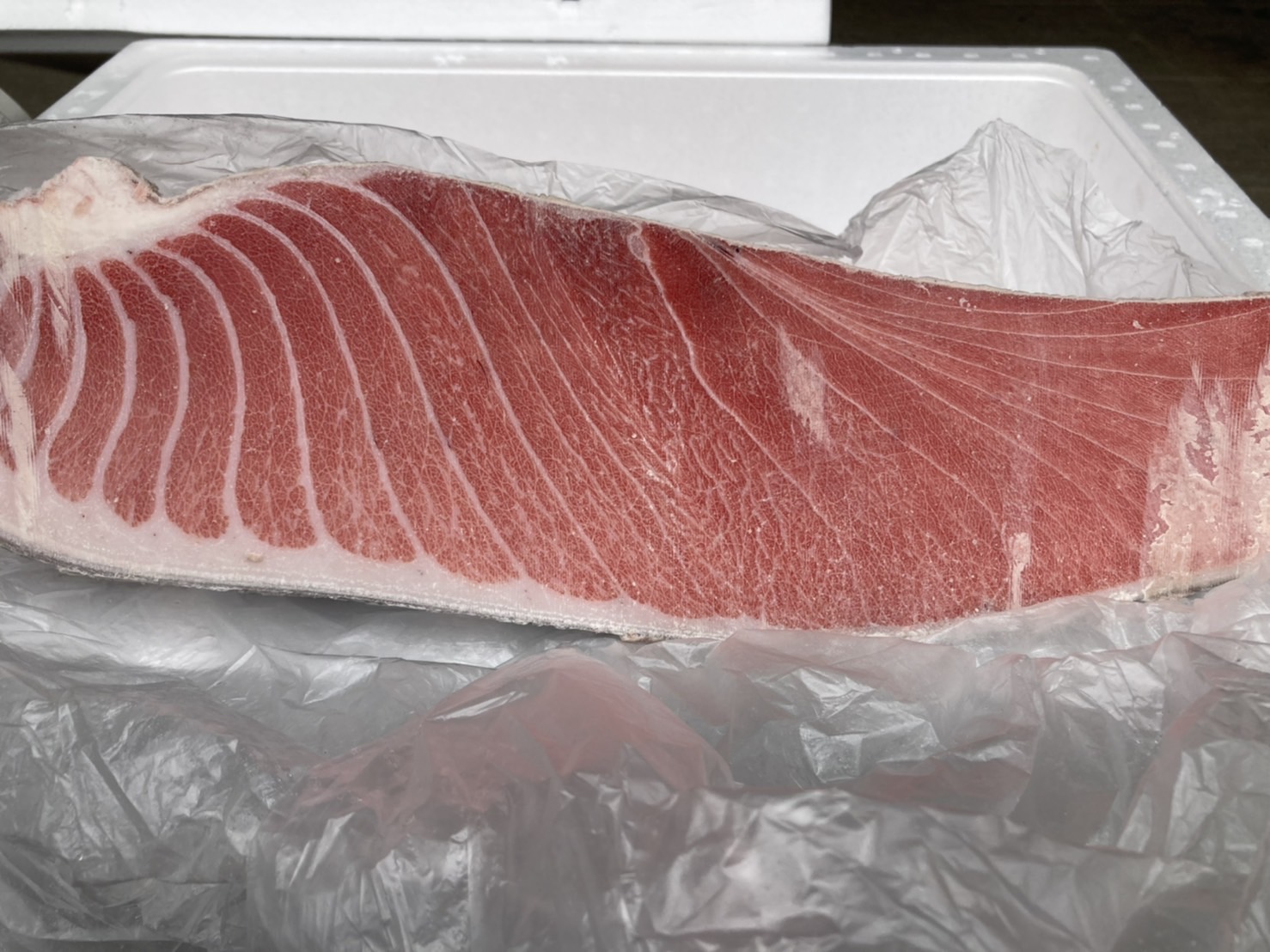 日本超低溫黑鮪魚上腹